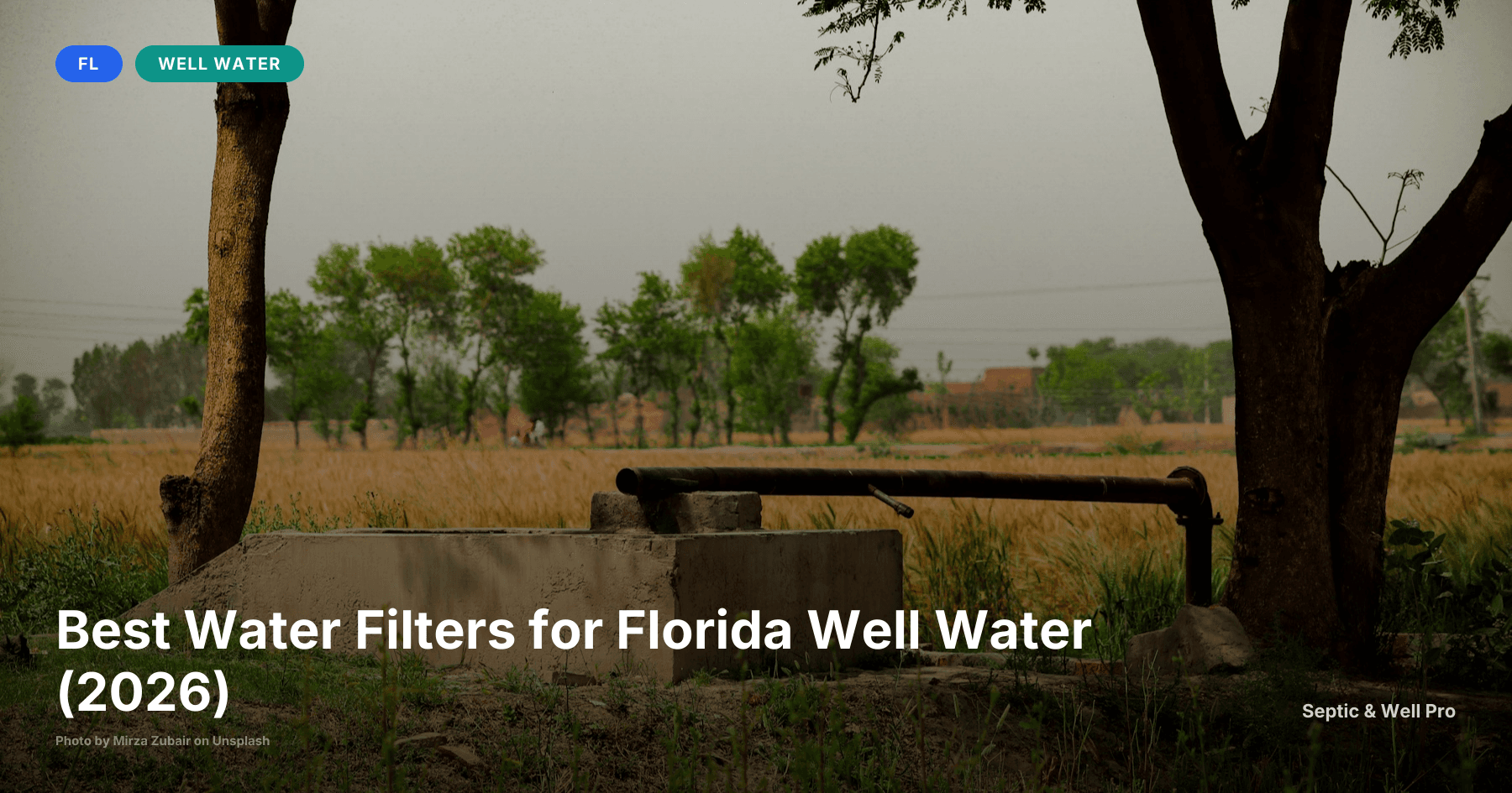 Best Water Filters for Florida Well Water (2026)