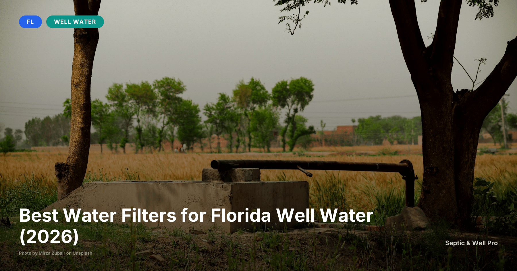 Best Water Filters for Florida Well Water (2026)
