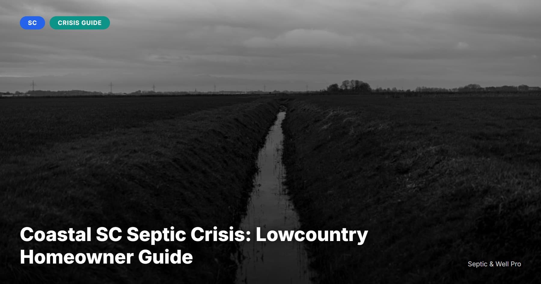 Coastal SC Septic Crisis: Lowcountry Homeowner Guide
