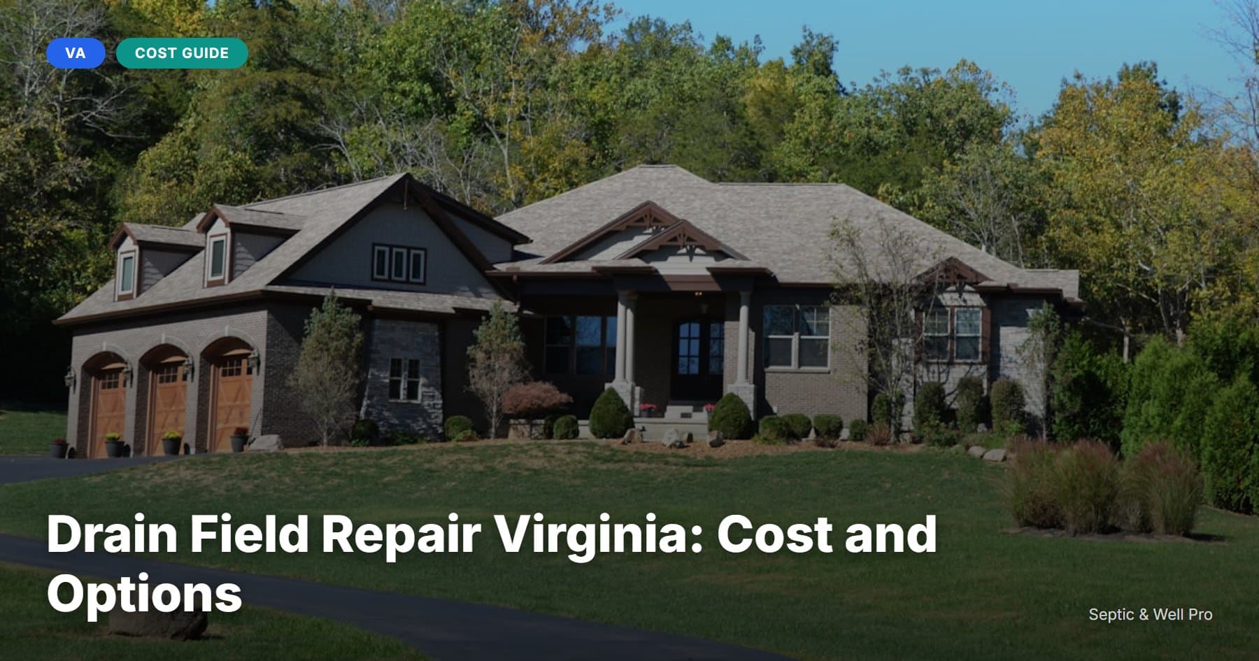 Drain Field Repair Virginia: Cost and Options