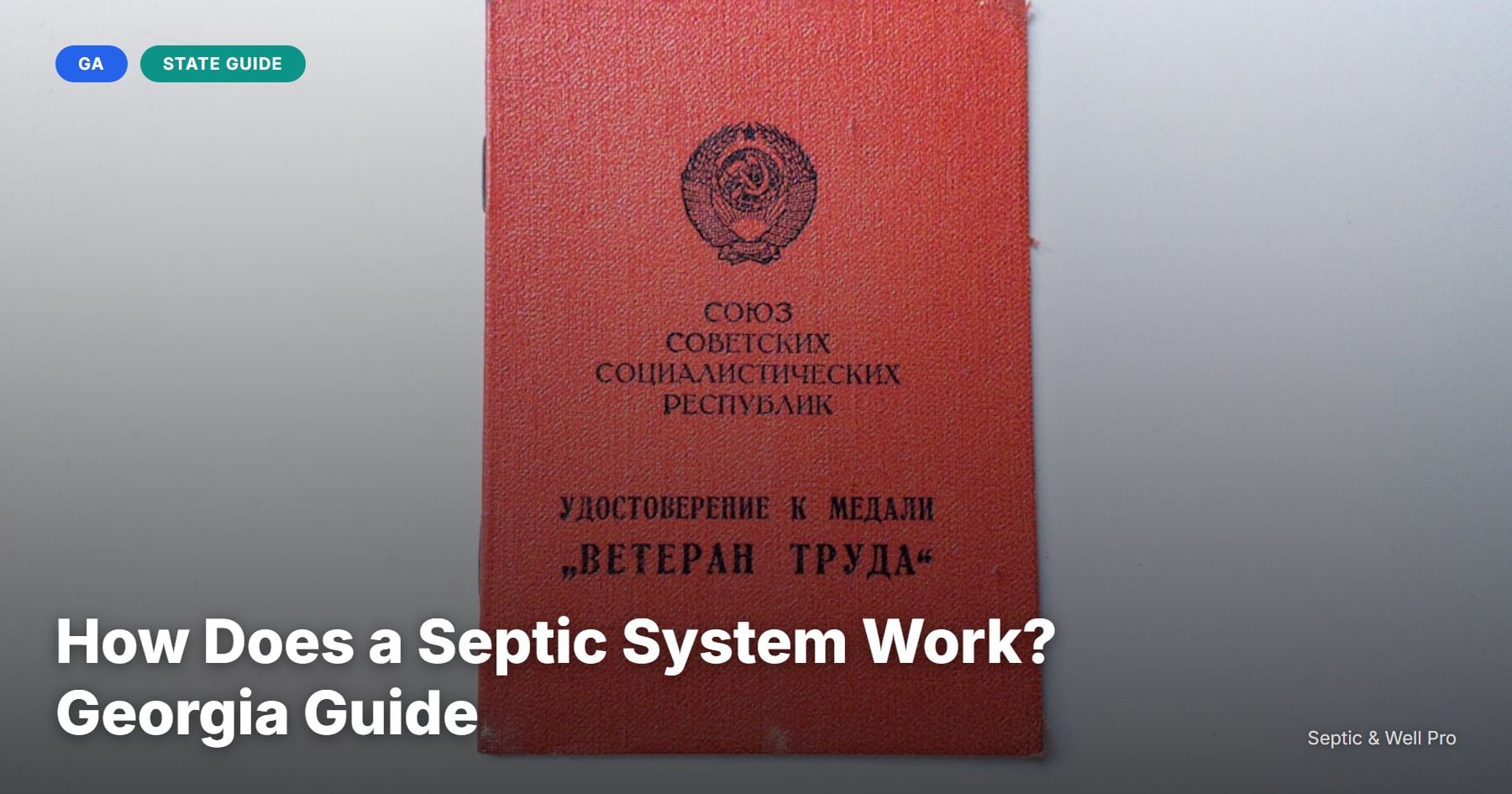 How Does a Septic System Work? Georgia Guide