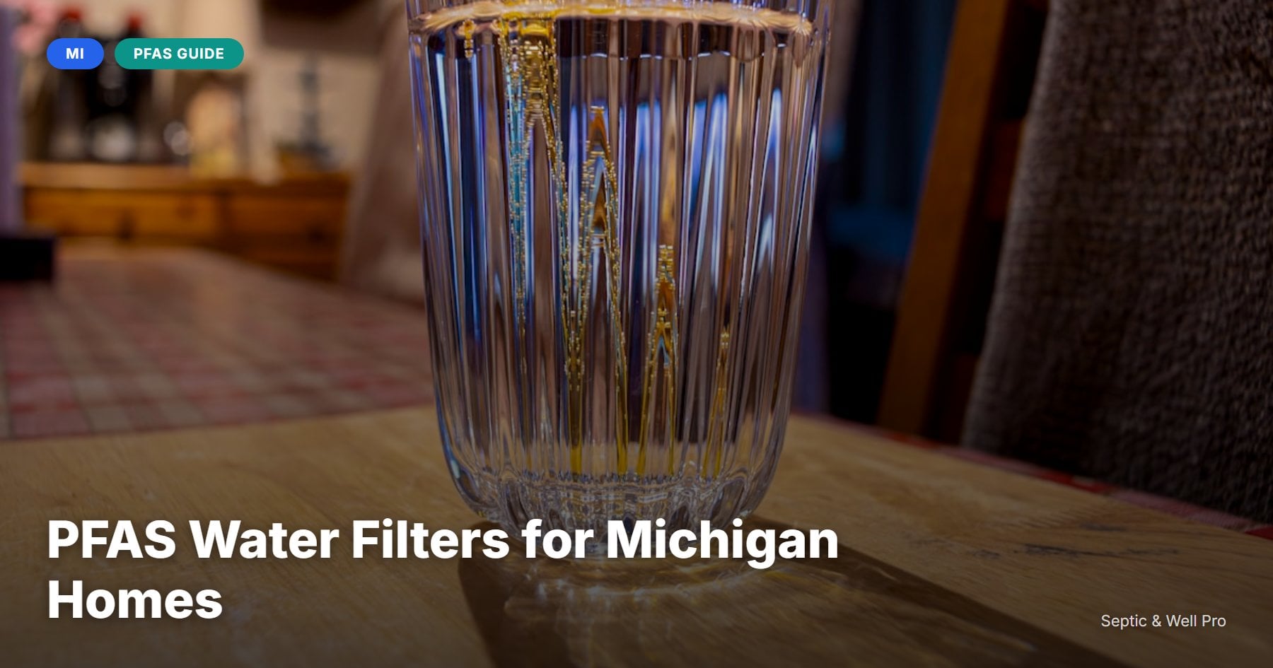 PFAS Water Filters for Michigan Homes