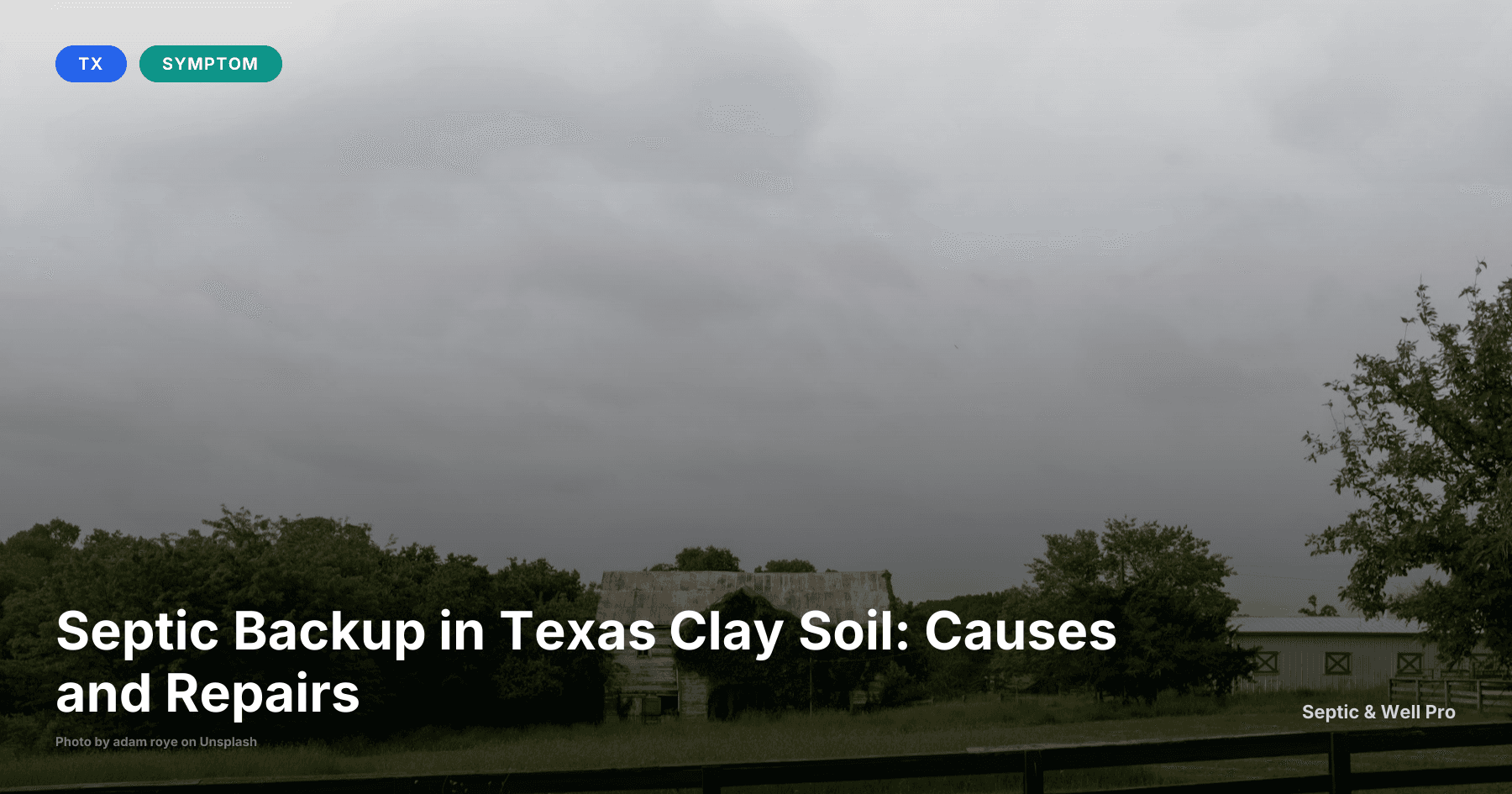 Septic Backup in Texas Clay Soil: Causes and Repairs