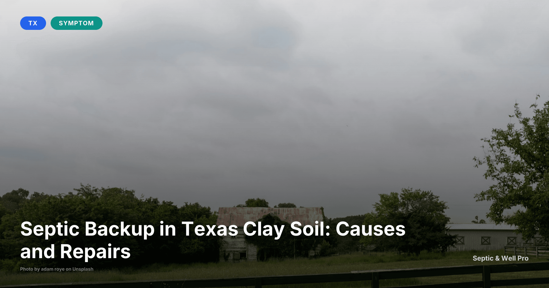 Septic Backup in Texas Clay Soil: Causes and Repairs