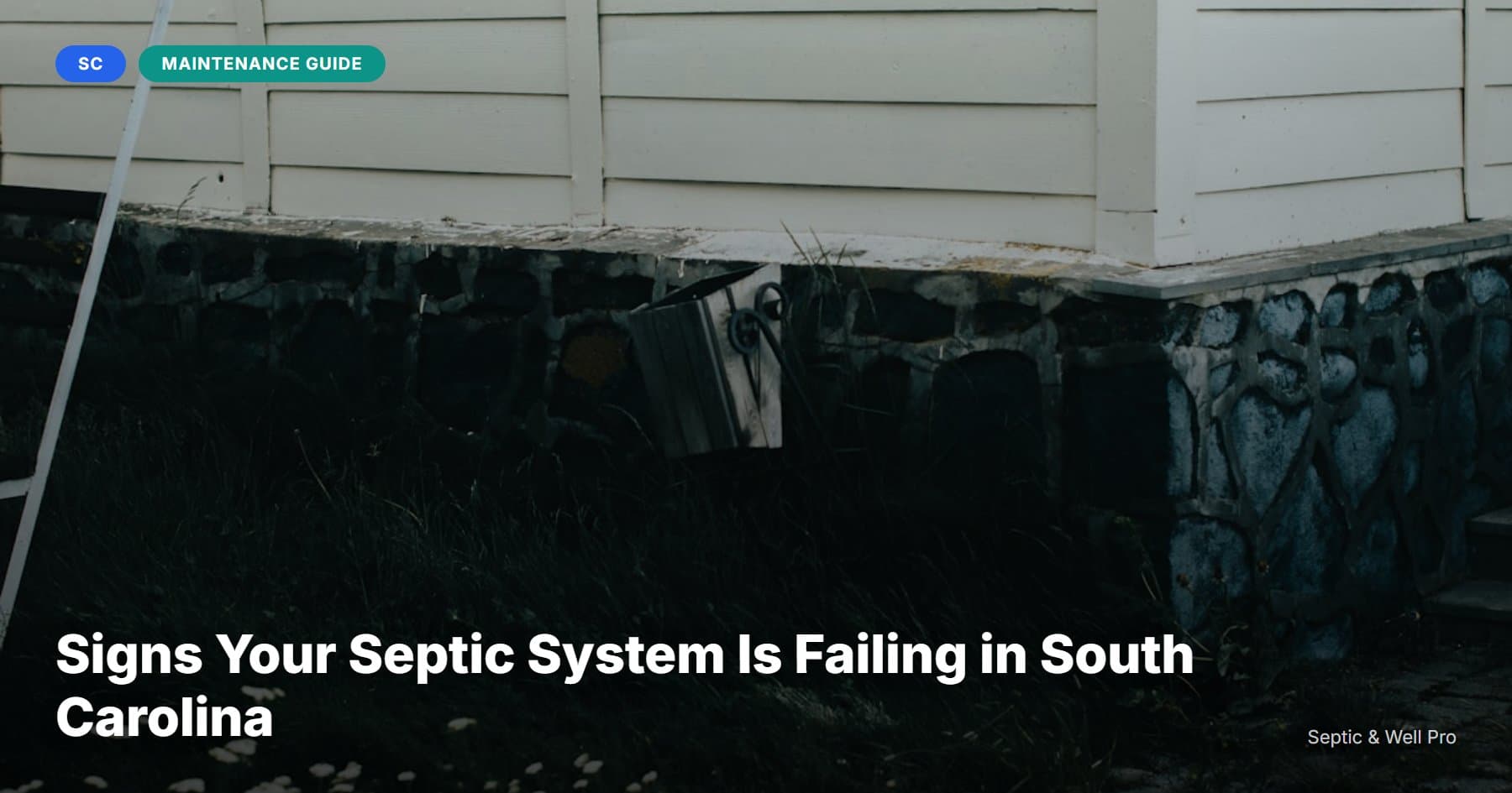 Signs Your Septic System Is Failing in South Carolina