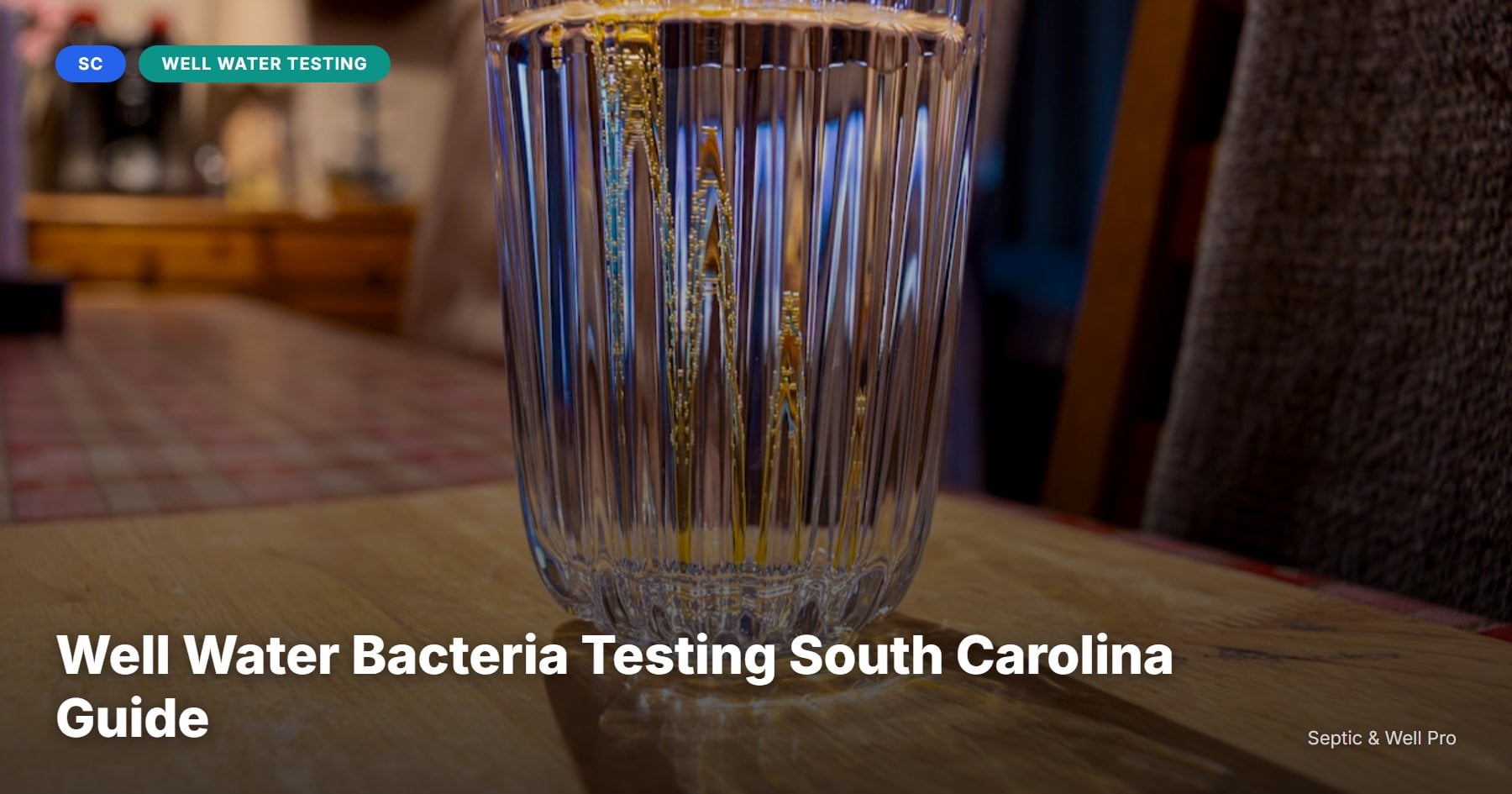Well Water Bacteria Testing South Carolina Guide